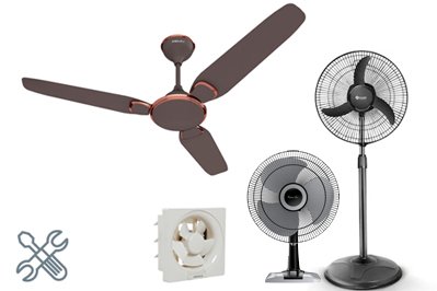 Fan