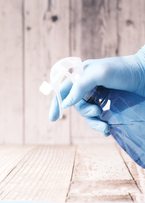 Cleaning team members
